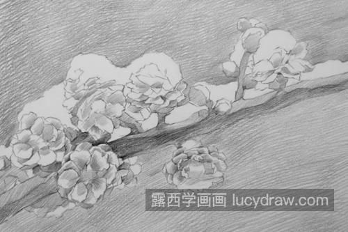 素描梅花怎么画？如何画出梅花的风骨？