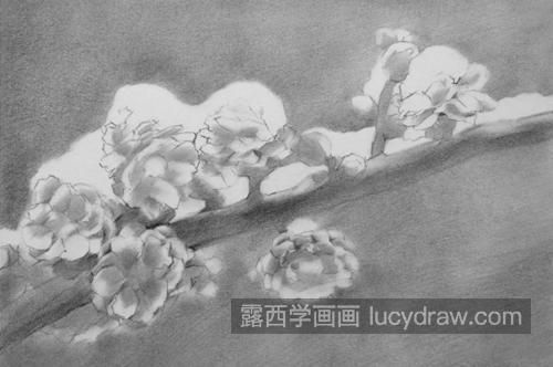 素描梅花怎么画？如何画出梅花的风骨？