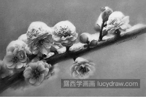 素描梅花怎么画？如何画出梅花的风骨？