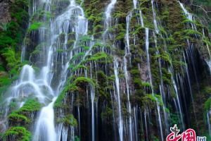 湖北黄石园博园“东楚杯”第二届郁金香节