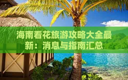 海南看花旅游攻略大全最新：消息与指南汇总