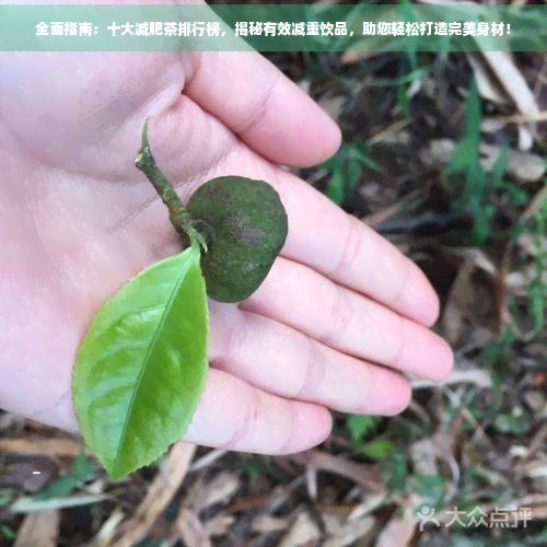 全面指南：十大减肥茶排行榜，揭秘有效减重饮品，助您轻松打造完美身材！