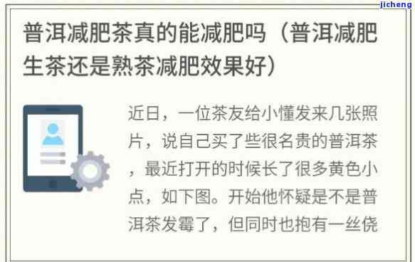 减肥茶普洱茶：有效减肥还是只是营销手？