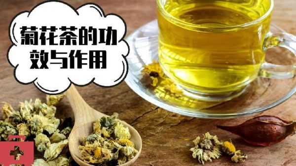 教你怎么制作中药减肥茶 哪些中药减肥茶减肥效果好