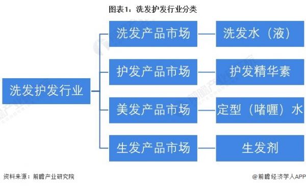 图表1：洗发护发行业分类