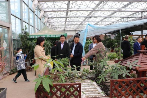 青岛莱西市姜山镇花卉共富产业园绕岭花卉市场正式开业