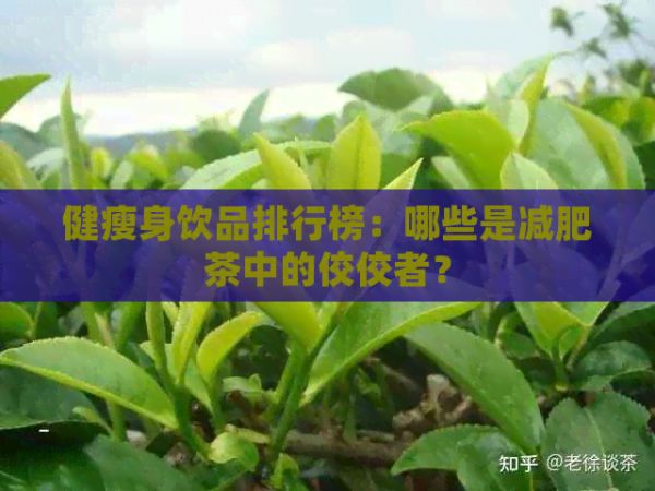 健瘦身饮品排行榜：哪些是减肥茶中的佼佼者？