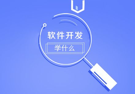 软件开发学什么