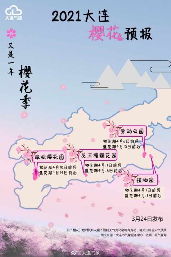 旅顺樱花园樱花2021年什么时候开花