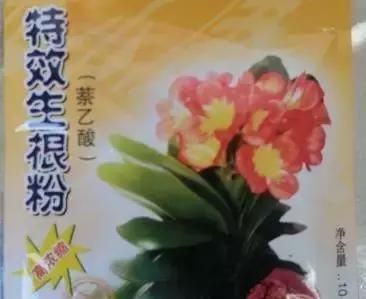 盆景催芽大法以及生根剂的合理使用