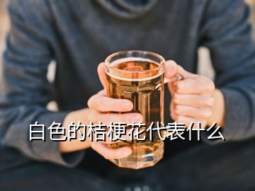 白色的桔梗花代表什么