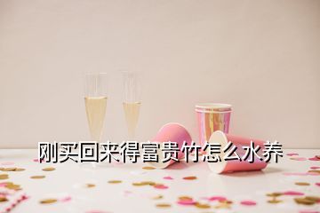 刚买回来得富贵竹怎么水养