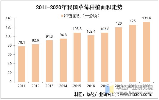 2011-2020年我国草莓种植面积走势