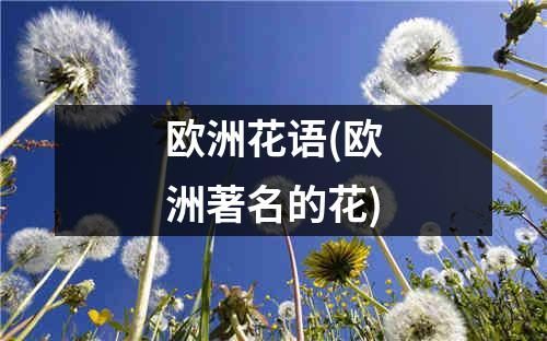 欧洲花语(欧洲著名的花)