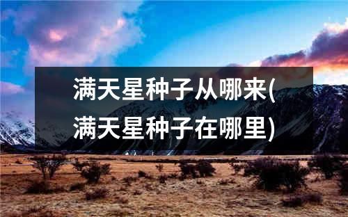 满天星种子从哪来(满天星种子在哪里)