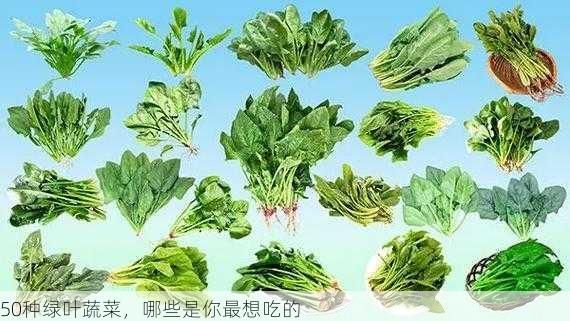 50种绿叶蔬菜，哪些是你最想吃的