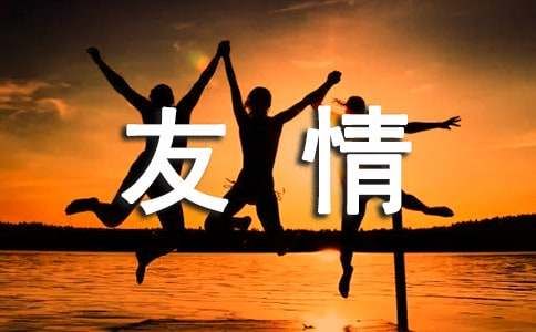 我理解了友情的意义作文700字（精选10篇）