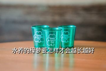 水养的绿萝要怎样才会越长越好