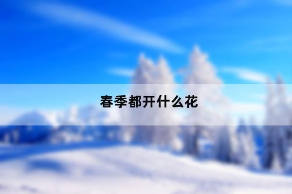 春夏秋冬都分别开什么花