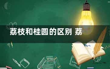 荔枝和桂圆的区别 荔枝和桂圆的区别,荔枝跟桂圆有什么区别