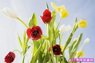 种花用什么土 教你制作种花营养土