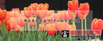 郁金香花有毒吗？可以放在客厅吗