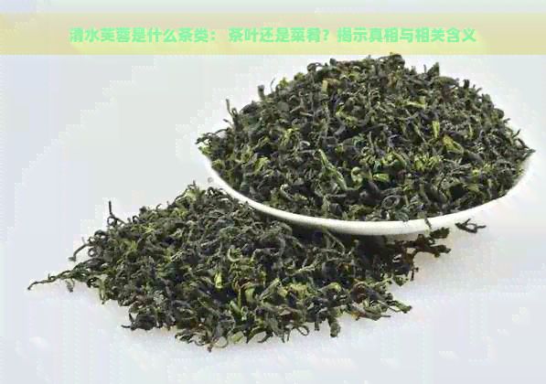 清水芙蓉是什么茶类： 茶叶还是菜肴？揭示真相与相关含义