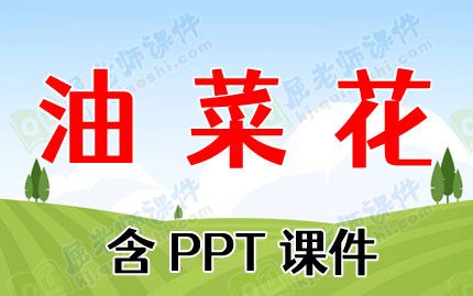 幼儿园大班美术教案《油菜花》含PPT课件图片