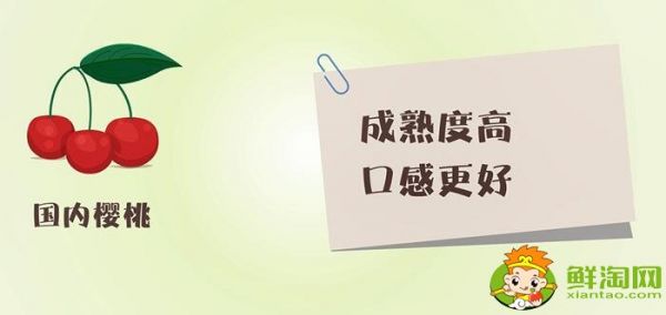 车厘子和樱桃的区别