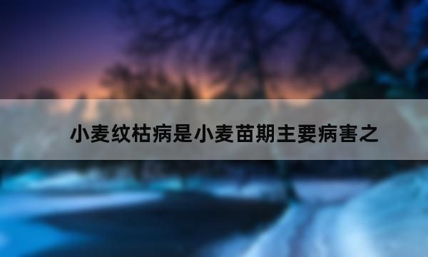 小麦纹枯病是小麦苗期主要病害之一 请问有哪些