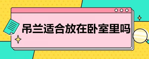 吊兰适合放在卧室里吗