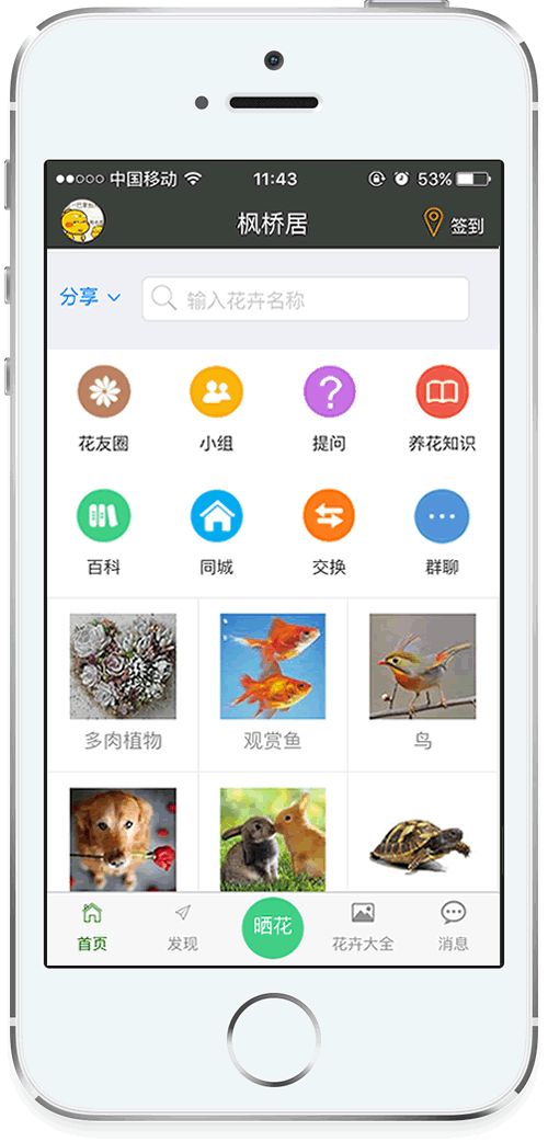 枫桥居花卉APP