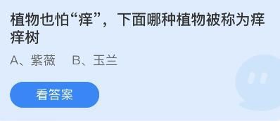 哪种植物被称为痒痒树？蚂蚁庄园1.21今日问题答案