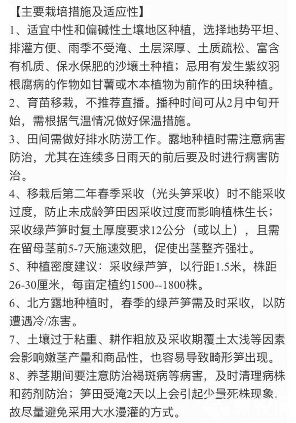 芦笋种子巨丰F1，高大粗壮，丰产抗病，芦笋品质好