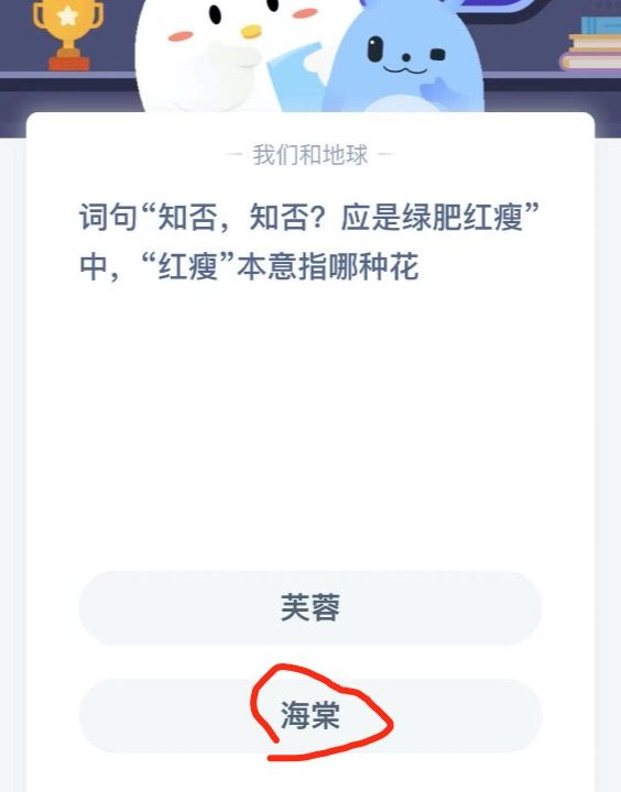 词句知否知否应是绿肥红瘦中红瘦本意指哪种花？支付宝小鸡庄园3月29日正确答案