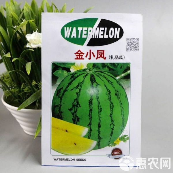  花皮黄瓤小西瓜种子 礼品西瓜种籽