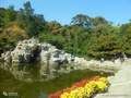 天津到北京旅游线路|香山赏花踏青、碧云寺、植物园桃花节1日