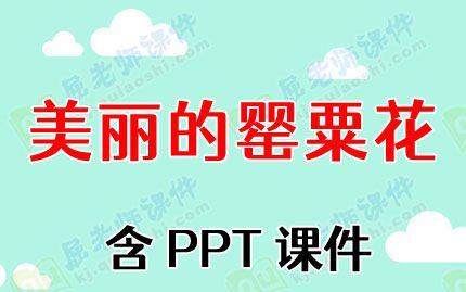 中班禁毒安全教案及反思《美丽的罂粟花》含PPT课件图片