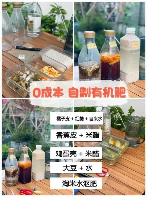 养花肥料制作_养花肥料制作方法