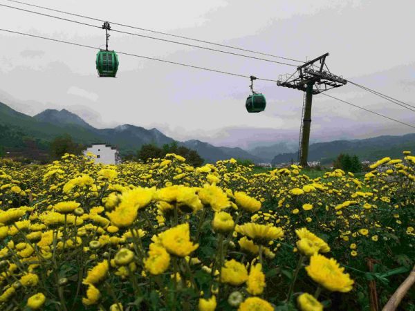 婺源篁岭旅游最佳时间