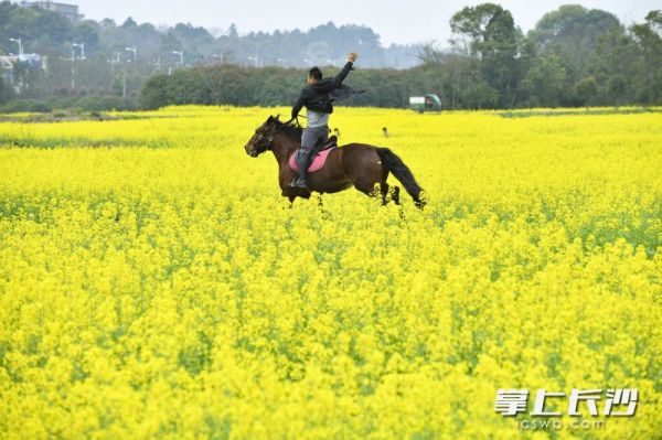 在花间小道上骑行，花香扑鼻而来。花间”骑行“这一新鲜的游乐项目，吸引了不少市民前来体验。长沙晚报全媒体记者 罗杰科 摄