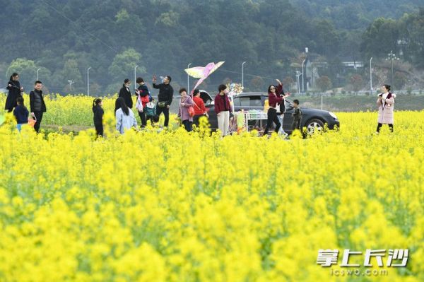 阳光正好，春暖花开，正是踏青游玩的最佳时节，众多市民和游客在花间小道上游玩。长沙晚报全媒体记者 罗杰科 摄