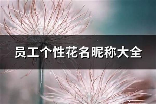 适合男生的花的名字