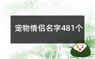 宠物情侣名字481个