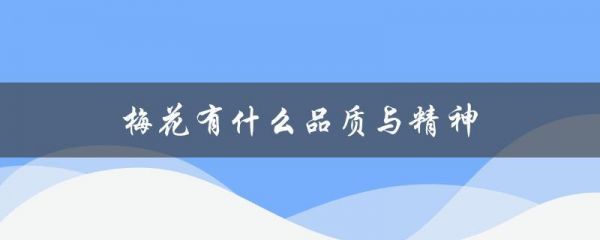 梅花有什么品质与精神：梅花的品质和精神150字？