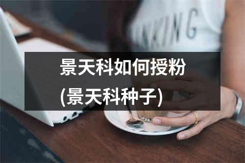 景天科如何授粉(景天科种子)