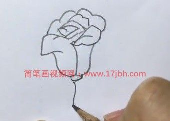 玫瑰花简笔画步骤