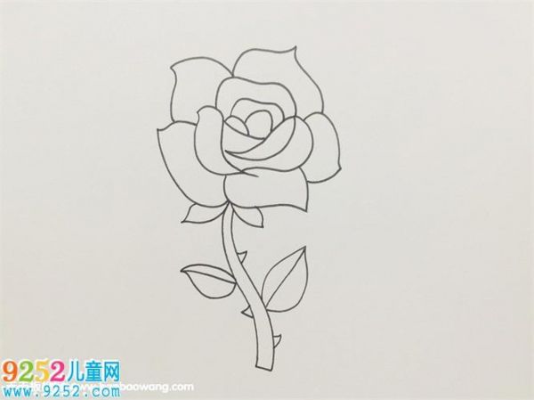 盛开玫瑰花的画法步骤 玫瑰花简笔画 - 9252儿童网