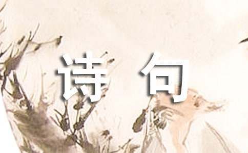 花诗句汇总（精选60句）