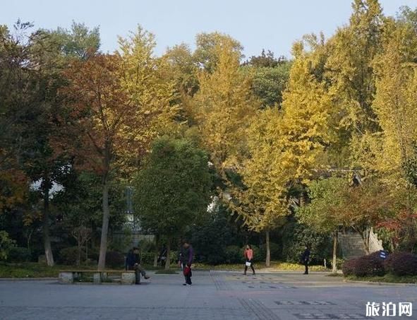 南京适合秋天去的景点 南京适合赏秋的地方有哪些